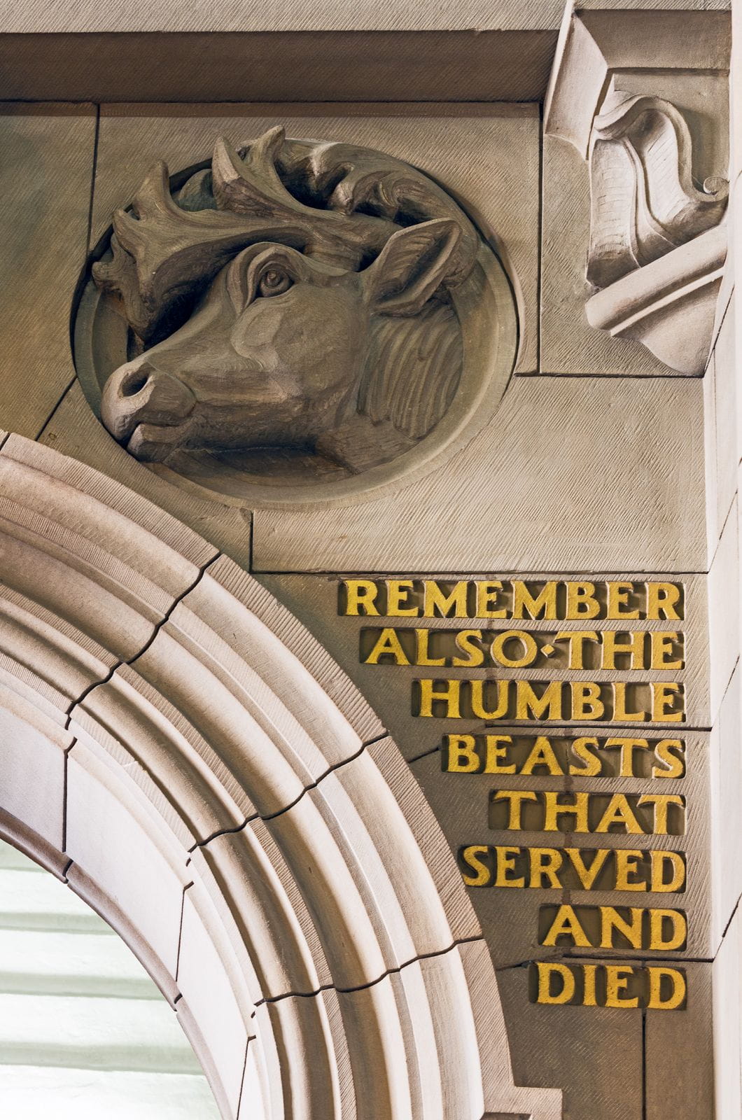 Remember also the humble beasts...
