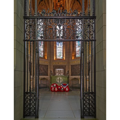 Antonia Reeve Memorial Photographs
